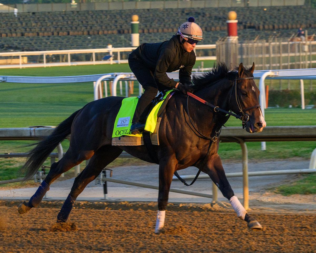 Ocelli, Triple Crown, Kentucky Derby, Churchill Downs, horse racing, America's Best Racing, ABR