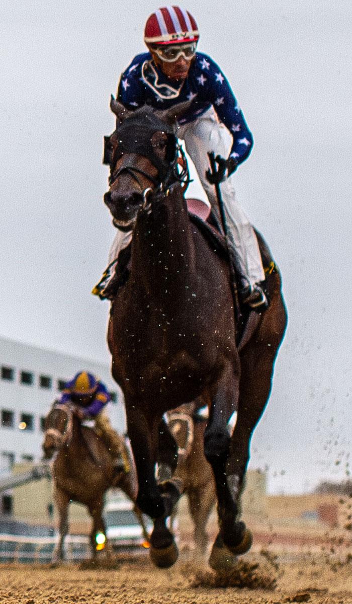 Pashmina, Kentucky Oaks, Churchill Downs, horse racing, America's Best Racing, ABR