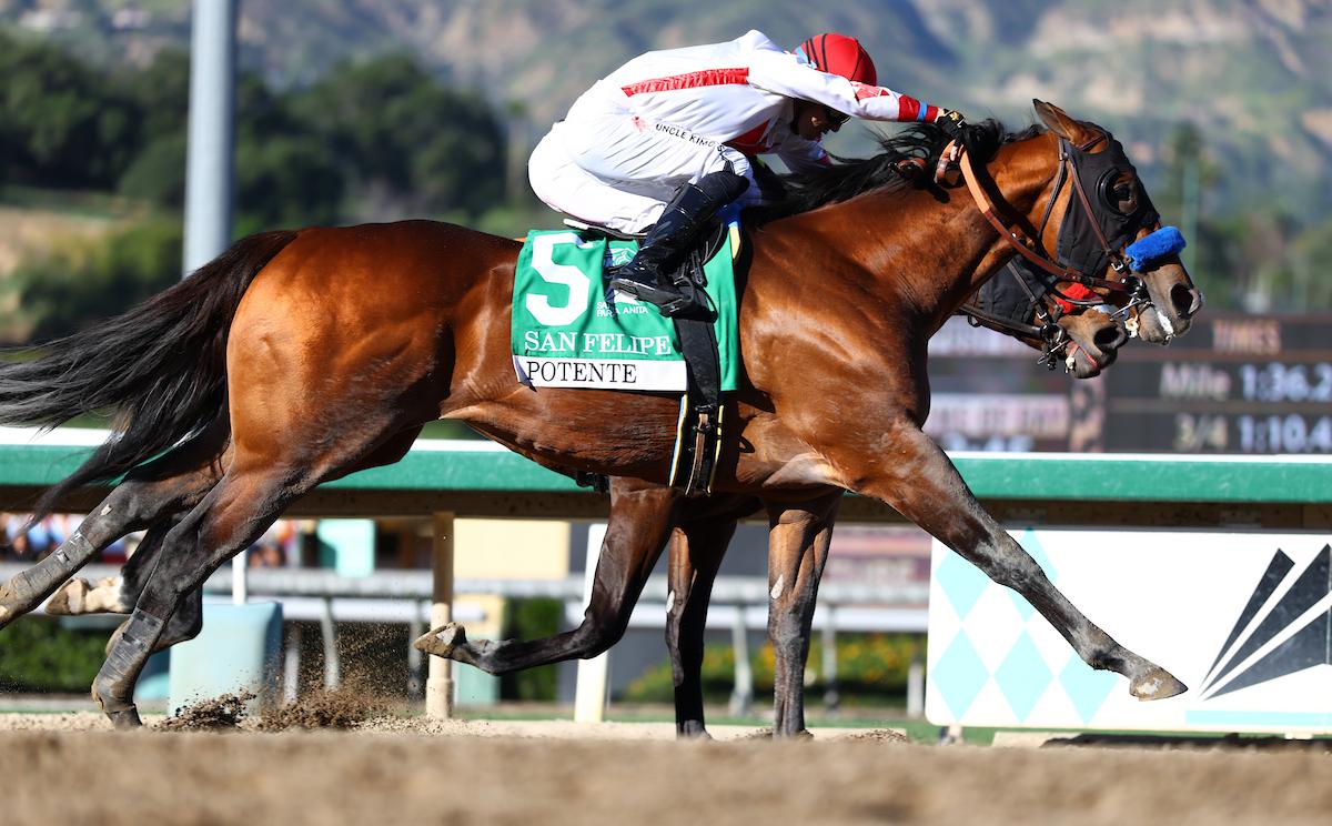 Potente, Triple Crown, Kentucky Derby, Churchill Downs, horse racing, America's Best Racing, ABR