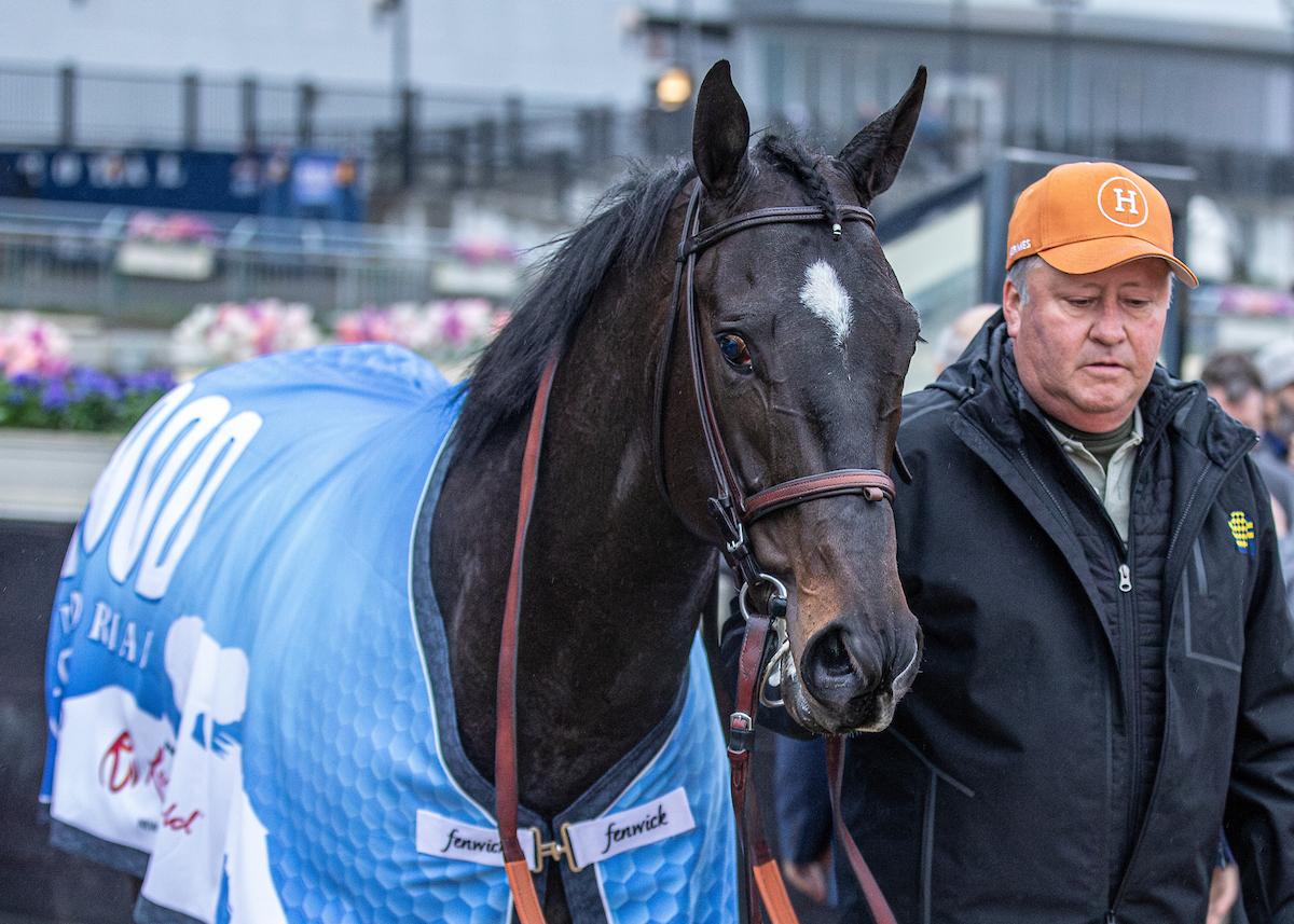 Rodriguez, Kentucky Derby, Churchill Downs, Triple Crown, America's Best Racing, horse racing, ABR