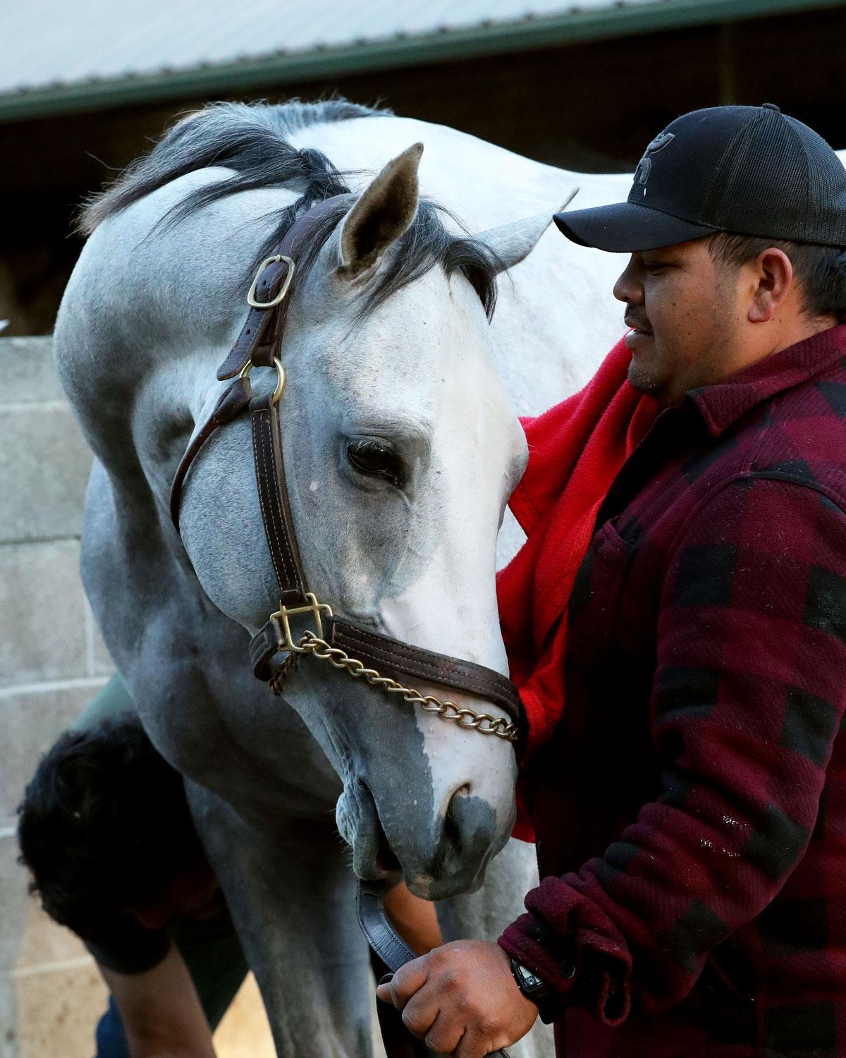 Sandman, Arkansas Derby, Preakness, Jim Dandy Stakes, Saratoga Race Course, America's Best Racing, horse racing, ABR