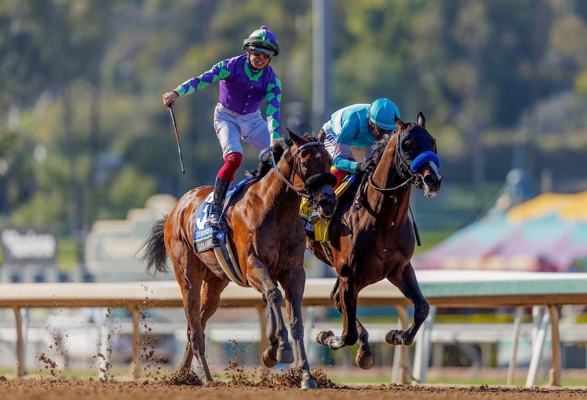 Stronghold, Pegasus World Cup, Gulfstream Park, Eclipse Sportswire