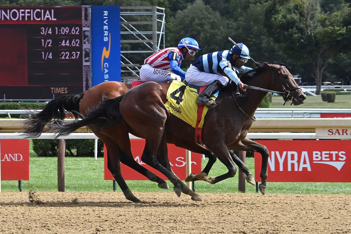 Talkin, Triple Crown, Preakness, Laurel Park, horse racing, America's Best Racing, ABR
