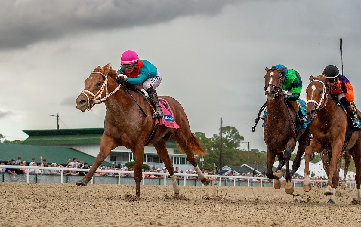 The Puma, Triple Crown, Kentucky Derby, Churchill Downs, horse racing, America's Best Racing, ABR