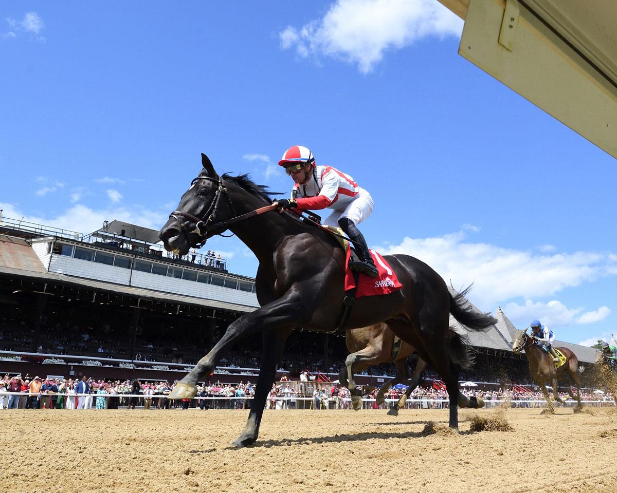 Unmatched Wisdom, Saratoga Race Course, Travers Stakes, Coady Media, Eclipse Sportswire