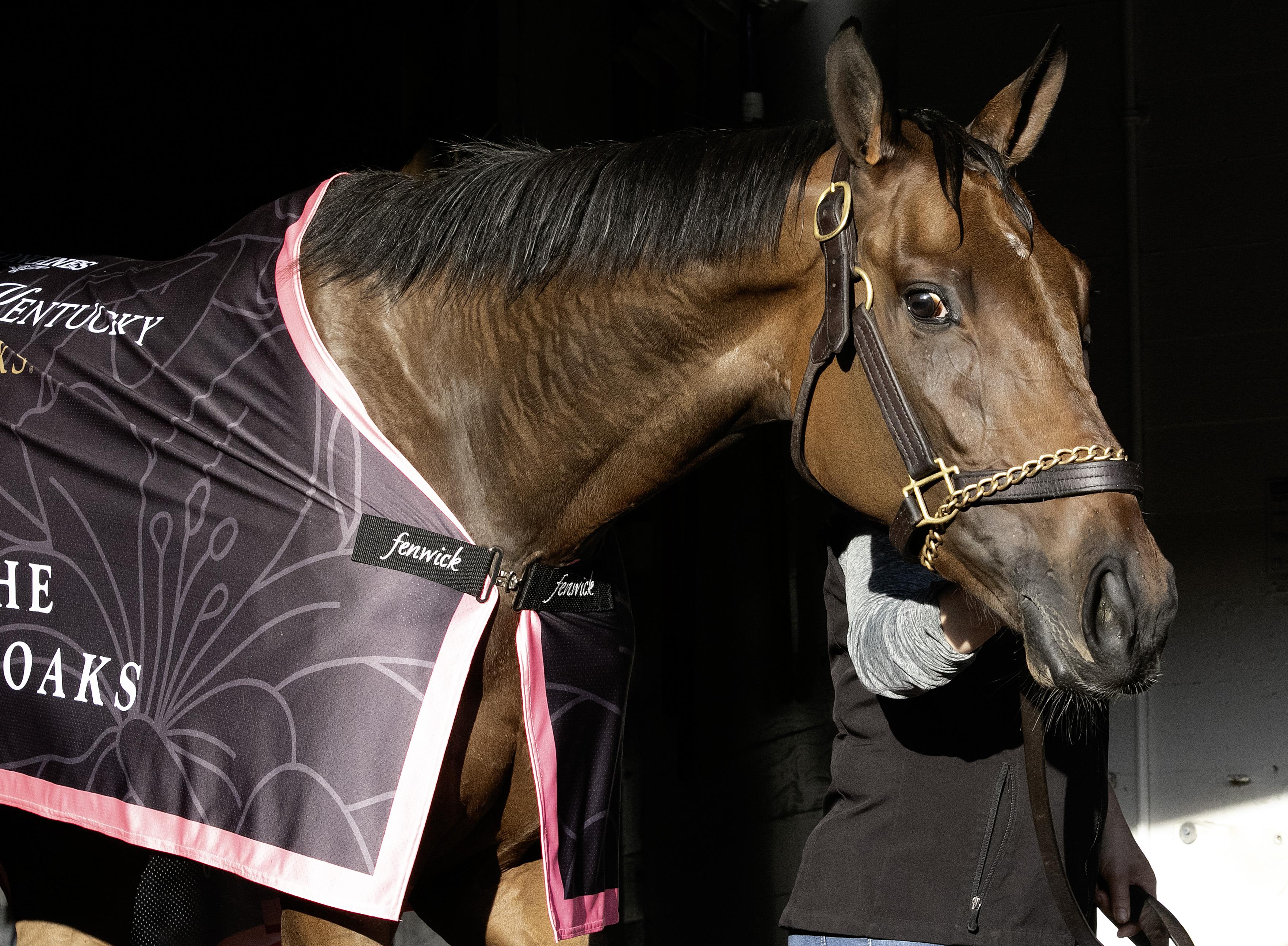 Breeders’ Cup Distaff, Del Mar, Thorpedo Anna, Raging Sea, Candied, Occult, Honor D Lady, Power Squeeze, Batcuada, Che Evasora, Alpha Bella, Desert Dawn, Musical Mischief, Sugar Fish, Miss New York, Eclipse Sportswire, Coady Media, Racing Post, BloodHorse