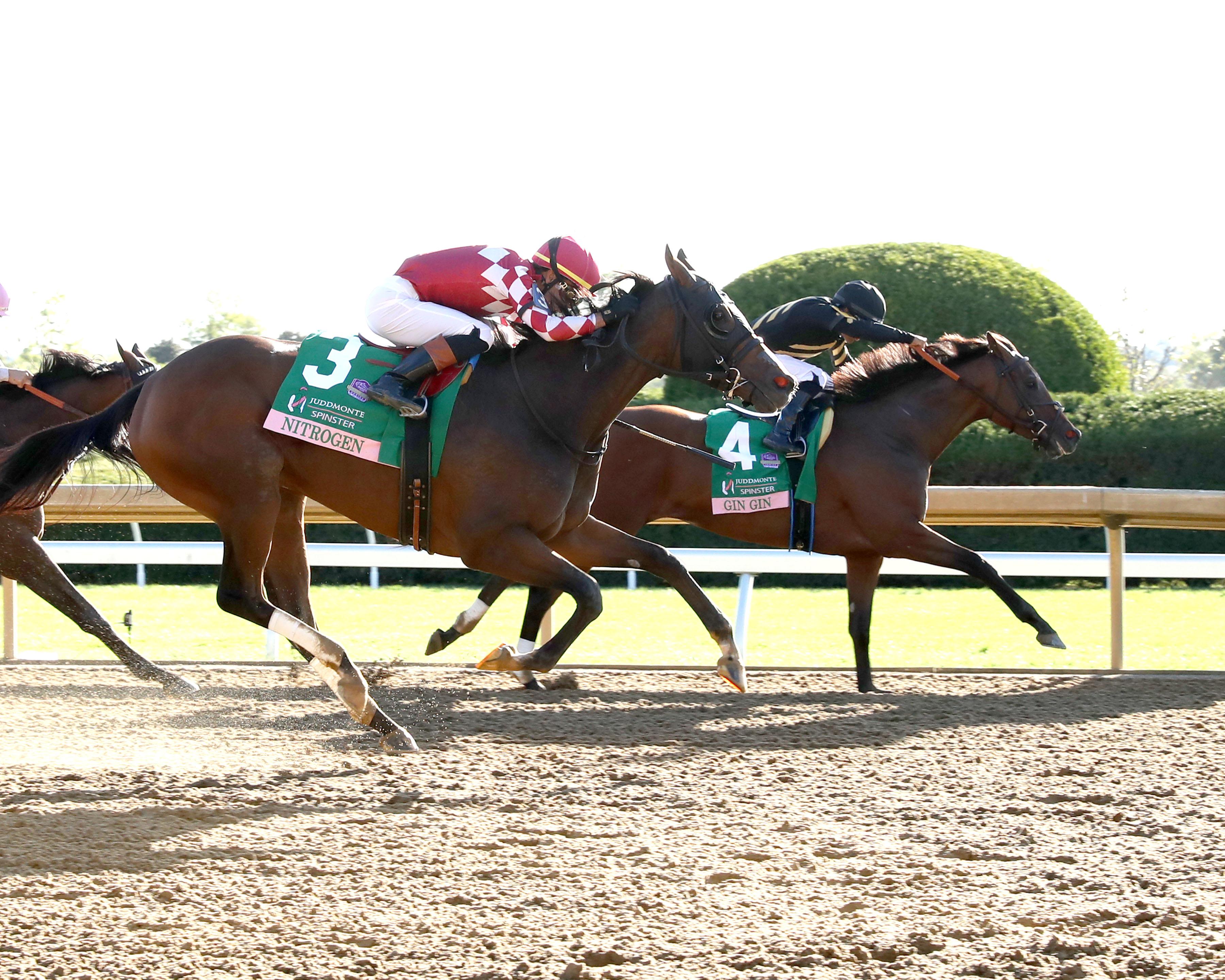 Gin Gin, Nitrogen, Thorpedo Anna, Brendan Walsh, trainer, Luis Saez, jockey, Breeders’ Cup Distaff, horse racing, Horse of the Year, McPeek, Casse, Prat, Final Score, Bourbon Stakes, Irad Ortiz, Todd Pletcher, Juvenile Turf, horse racing, ABR