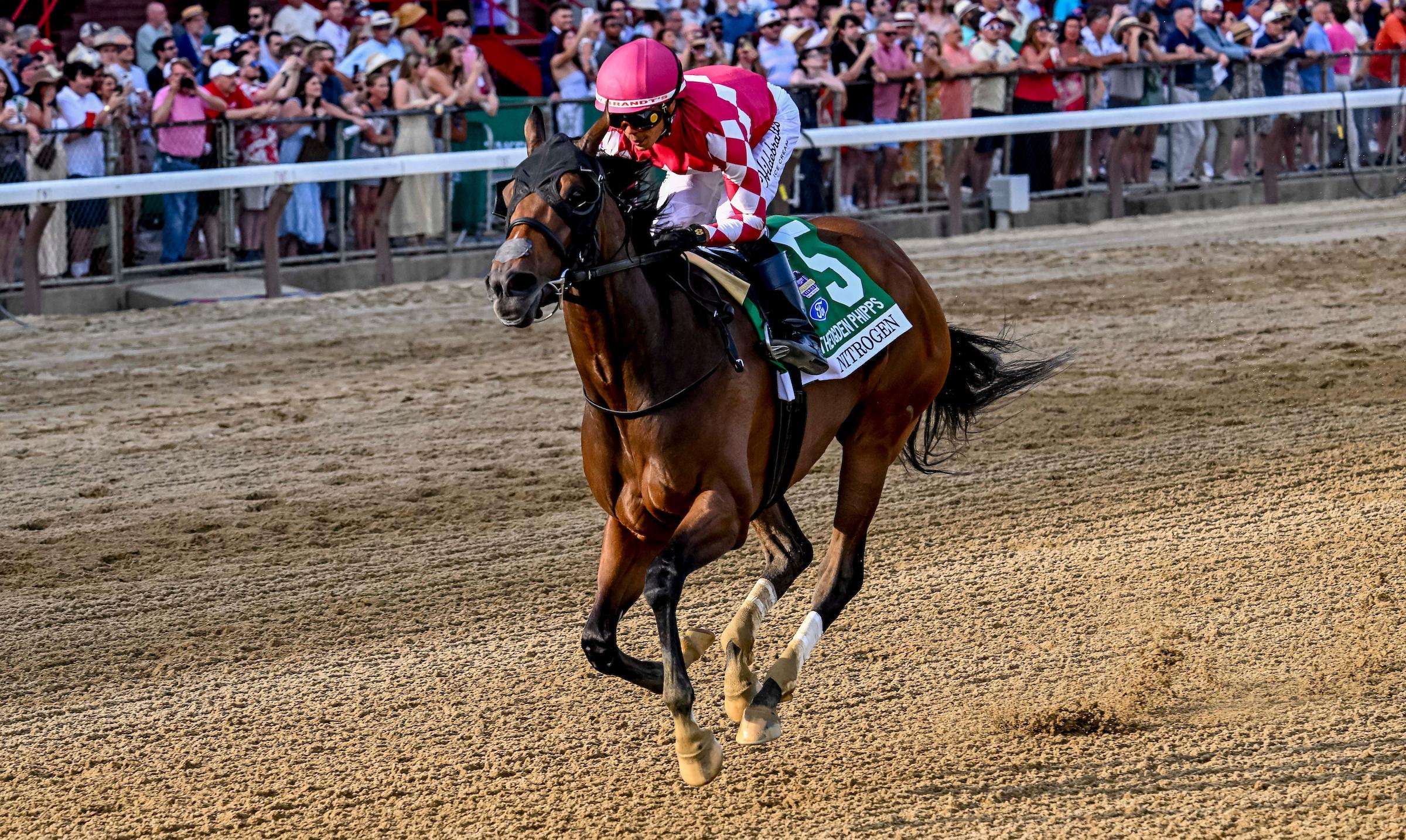 Breeders’ Cup Distaff, fillies, mares, slideshow, contenders, Nitrogen, horse racing, America's Best Racing, ABR