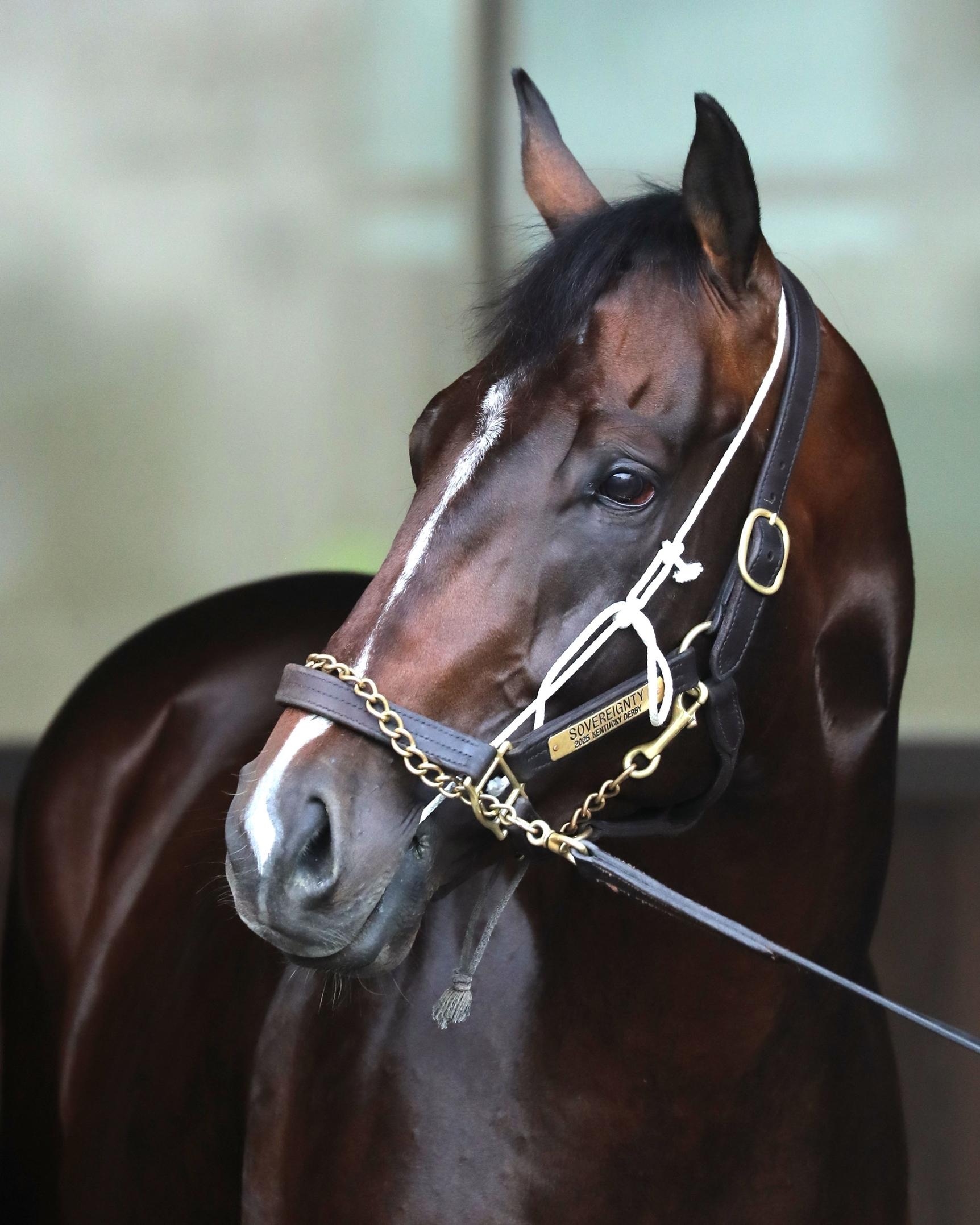 Breeders’ Cup Classic, Keeneland, contenders, slideshow, Horse of the Year, Sovereignty Breeders’ Cup Classic, Keeneland, contenders, slideshow, Horse of the Year, Sovereignty