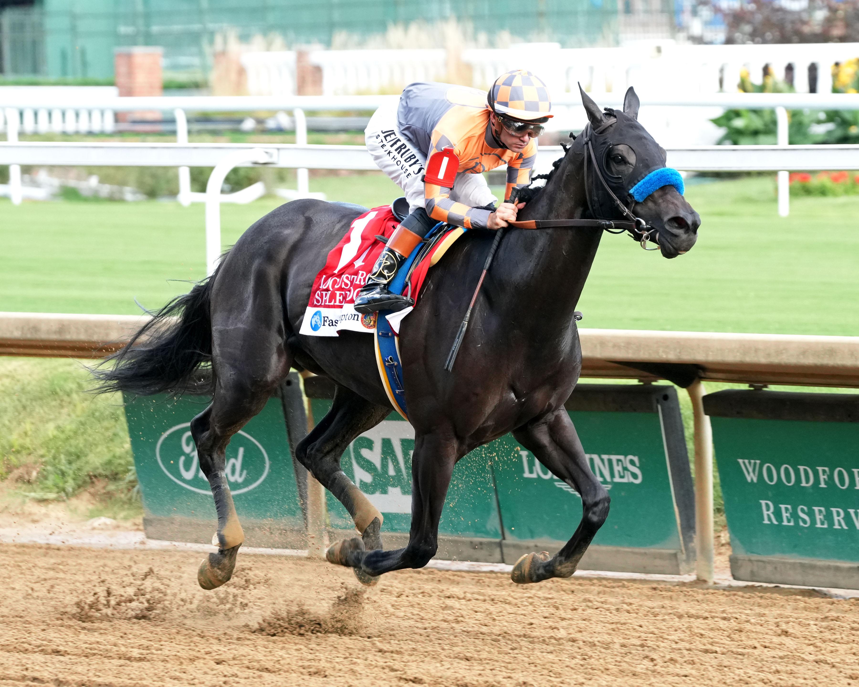 Breeders’ Cup Distaff, fillies, mares, slideshow, contenders, Splendora, horse racing, America's Best Racing, ABR
