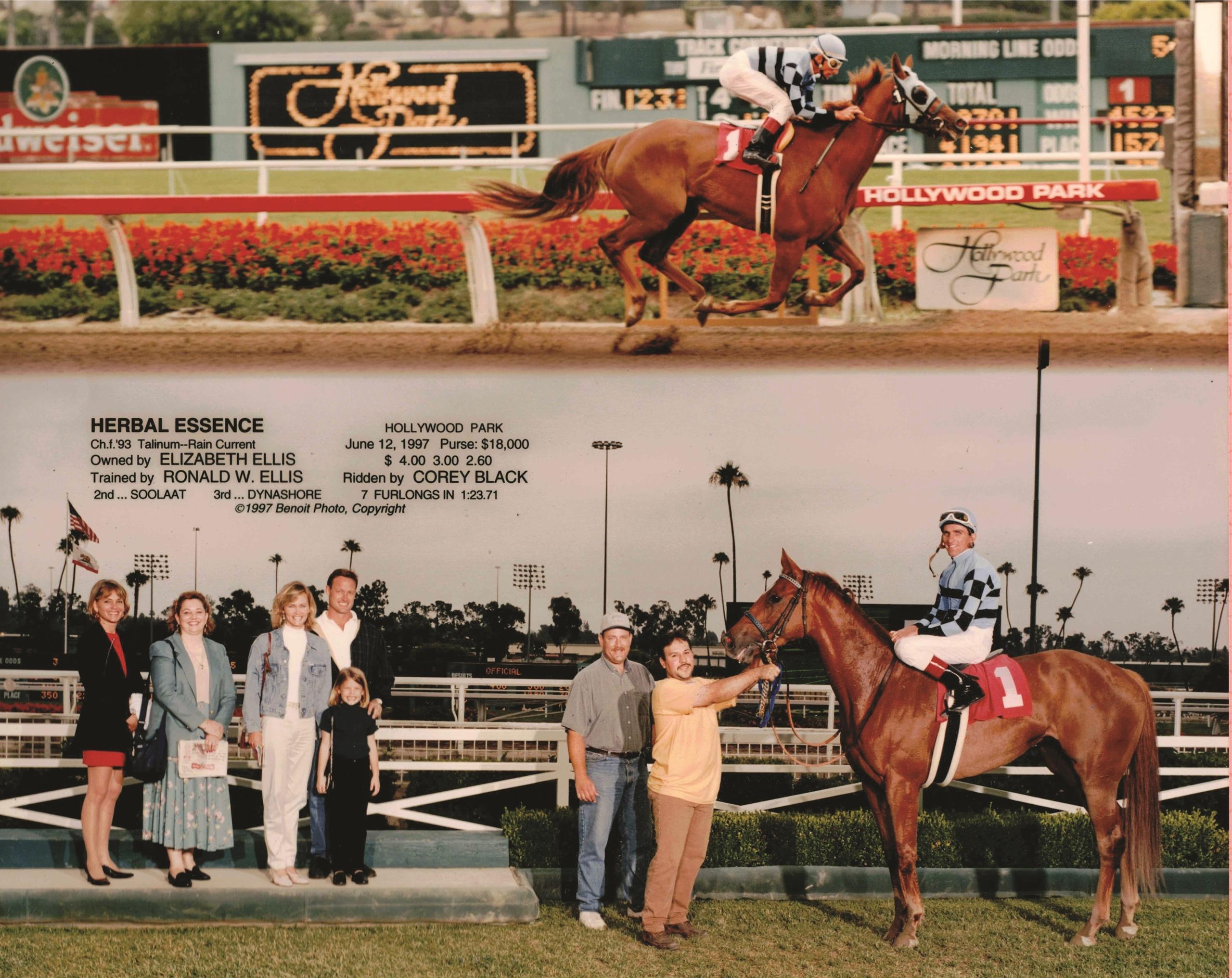 Elizabeth Talamo, On the Rise, Everywon, horse racing, America's Best Racing, ABR