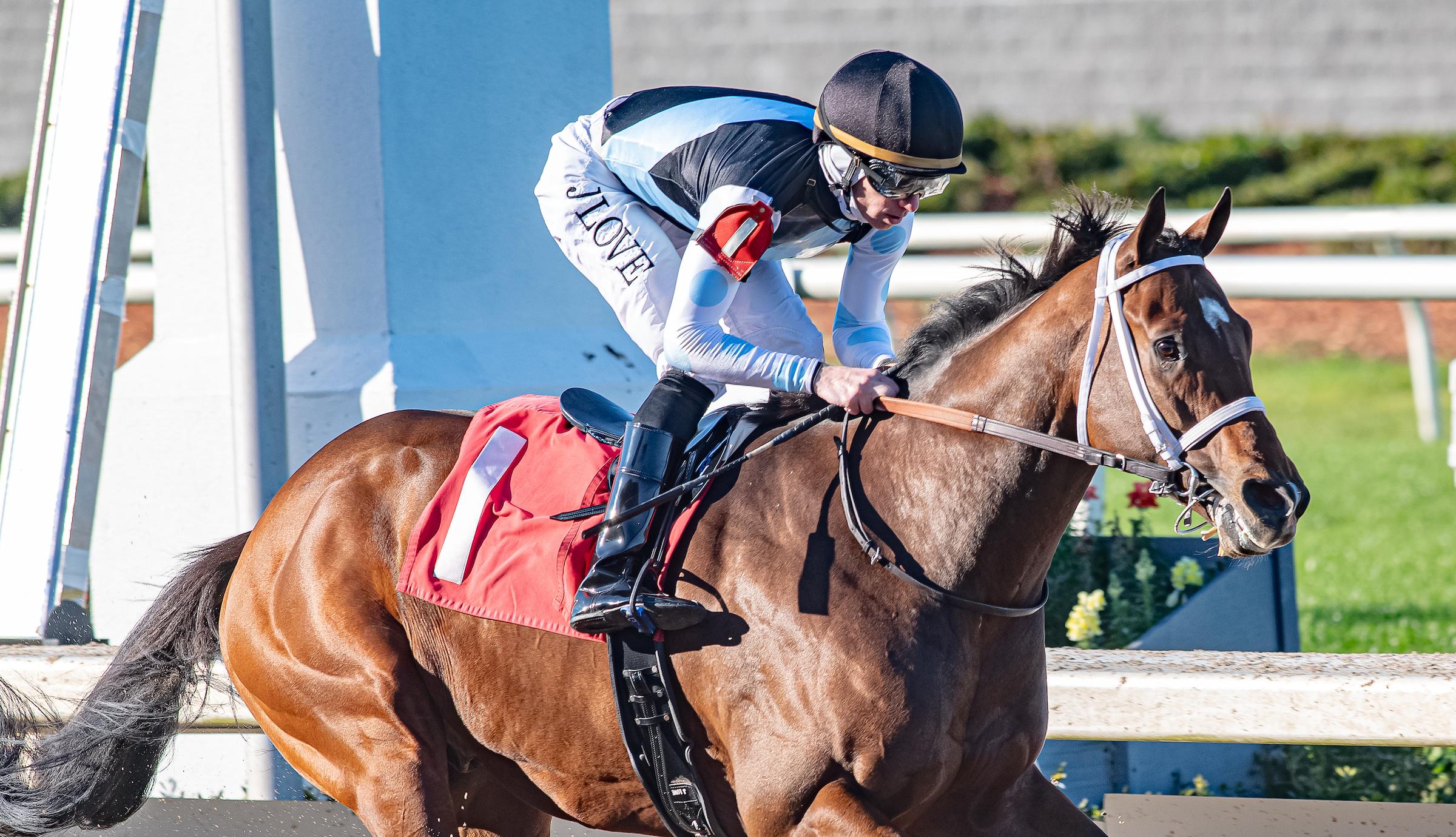 Built, Gun Runner Stakes, Louisiana Derby, Fair Grounds, Kentucky Derby, Triple Crown, America's Best Racing, horse racing, ABR