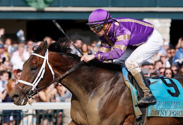 Tawny Port, Breeders’ Cup Turf, Del Mar, America's Best Racing, horse racing, ABR  Tawny Port, Breeders’ Cup Turf, Del Mar, America's Best Racing, horse racing, ABR