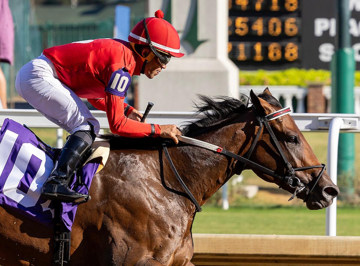 Jonathan’s Way, Richard Rigney, Rigney Racing, Philip Bauer, Risen Star Stakes, Kentucky Derby, Horse Racing, America's Best Racing, ABR