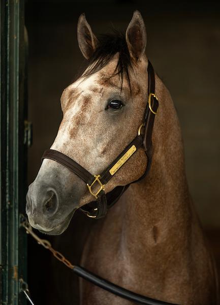 Ted Noffey, Kentucky Derby, Churchill Downs, Triple Crown, America's Best Racing, horse racing, ABR
