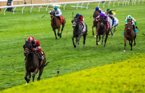 Arlington Million, Colonial Downs, Burnham Square, Elkhorn Stakes, horse racing, America's Best Racing, ABR