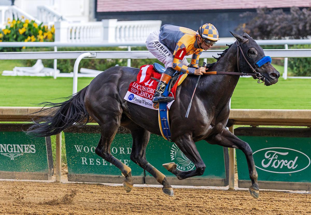 Splendora, Breeders' Cup Distaff, Keeneland, horse racing, America's Best Racing, ABR Splendora, Breeders' Cup Distaff, Keeneland, horse racing, America's Best Racing, ABR