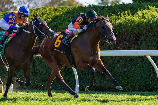 Schwarzenegger, Breeders' Cup Juvenile Turf Sprint, Future Stars Friday, Del Mar, America's Best Racing, horse racing, ABR