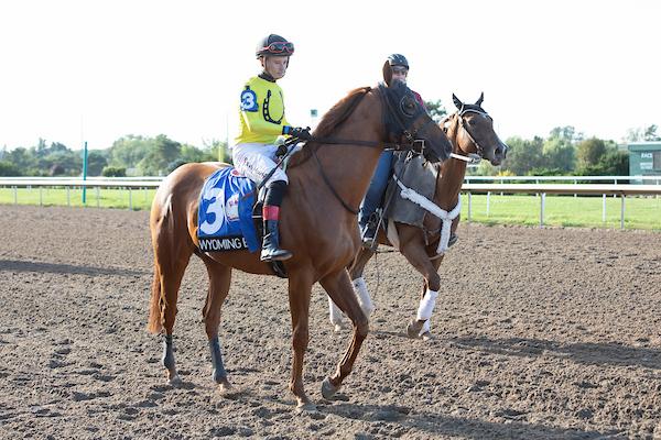 Wyoming Bill, Woodbine, Woodbine Mile, America's Best Racing, horse racing, ABR