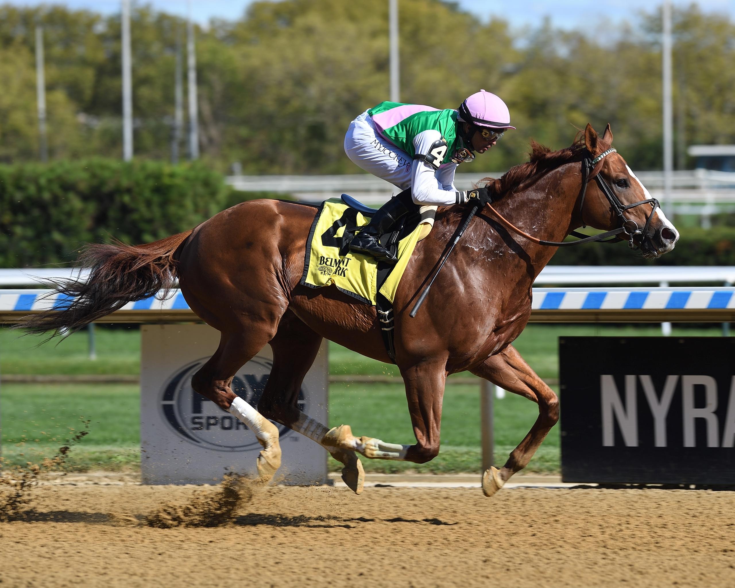 Elite Power: Two-Time Breeders' Cup Winner and a Modern-Day Sprint