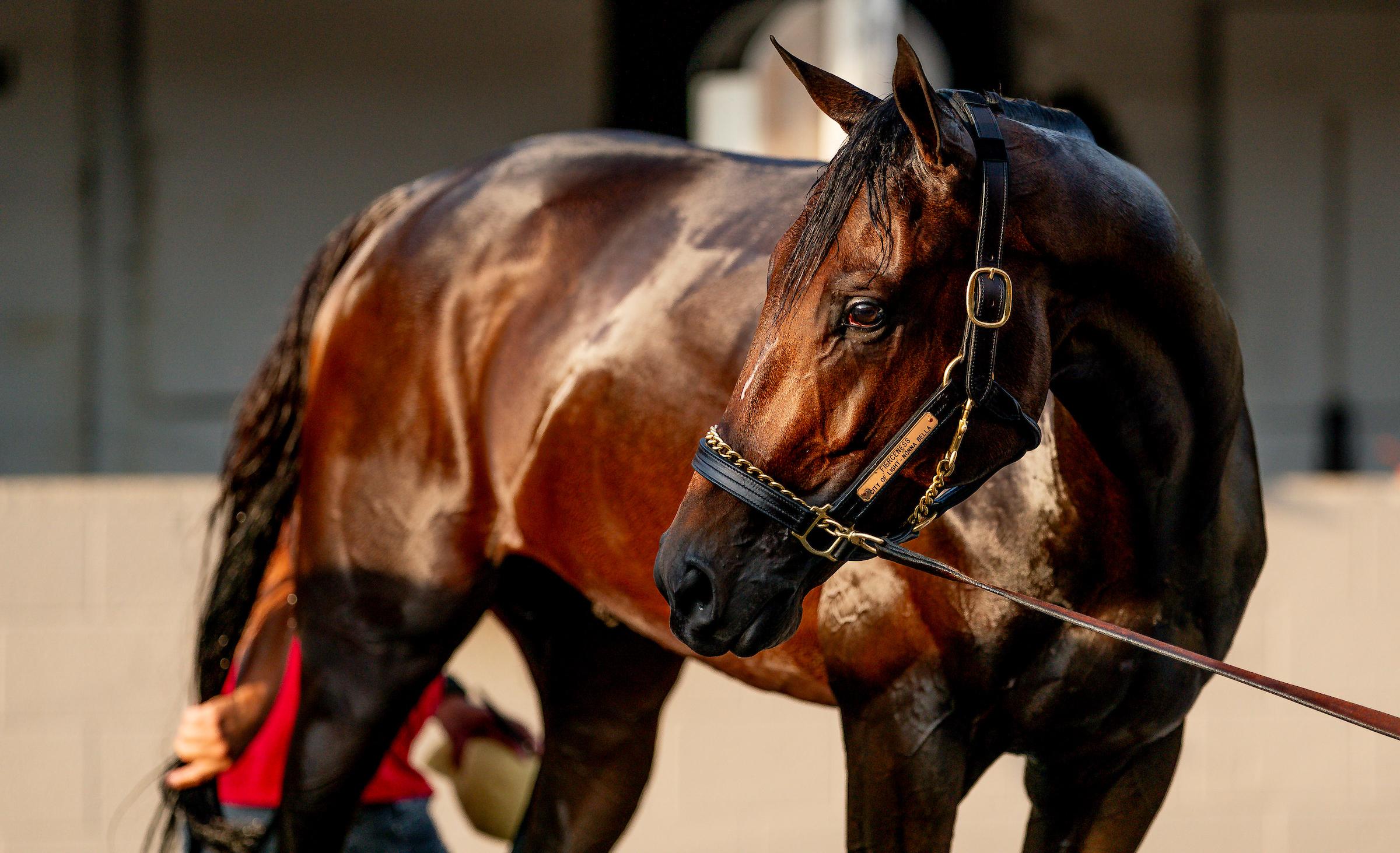Fierceness, Churchill Downs, Eclipse Sportswire Fierceness, Churchill Downs, Eclipse Sportswire
