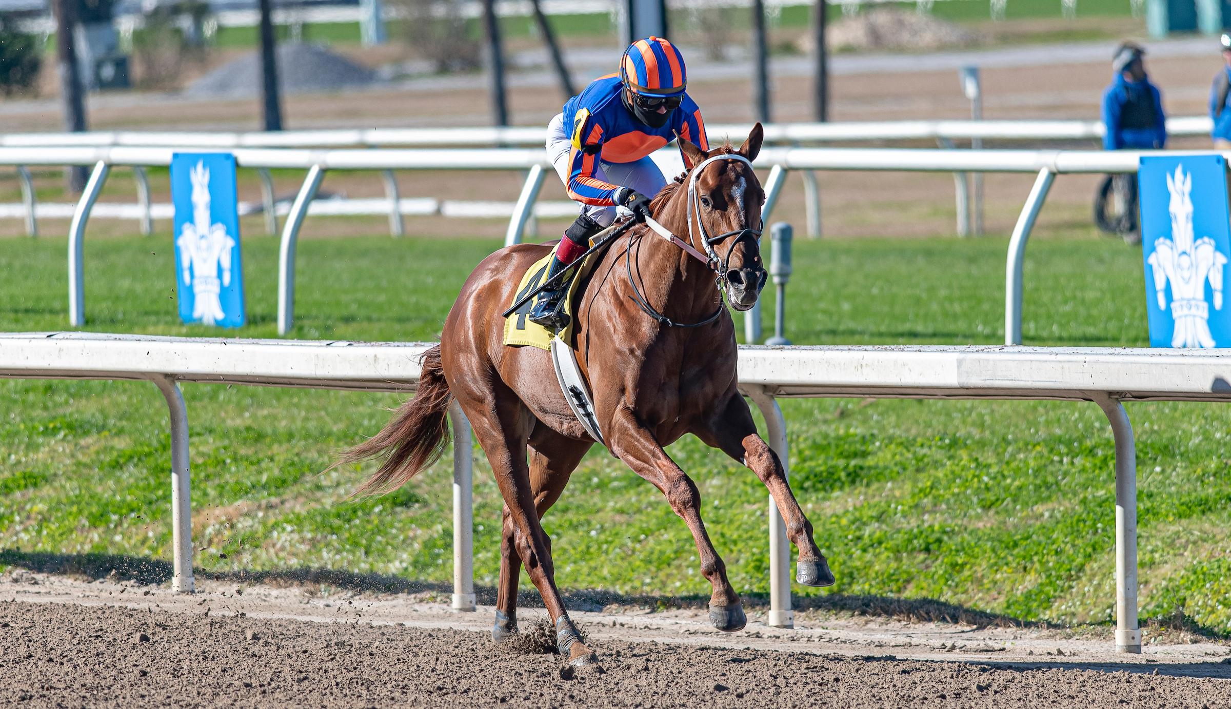 2024 Risen Star Stakes Cheat Sheet Get to Know the Horses America's 2024 Risen Star Stakes Cheat Sheet Get to Know the Horses America's
