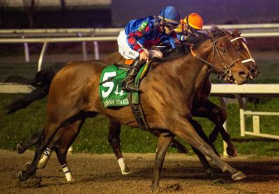 Happy American Louisiana Stakes Eclipse Sportswire Stephen Foster