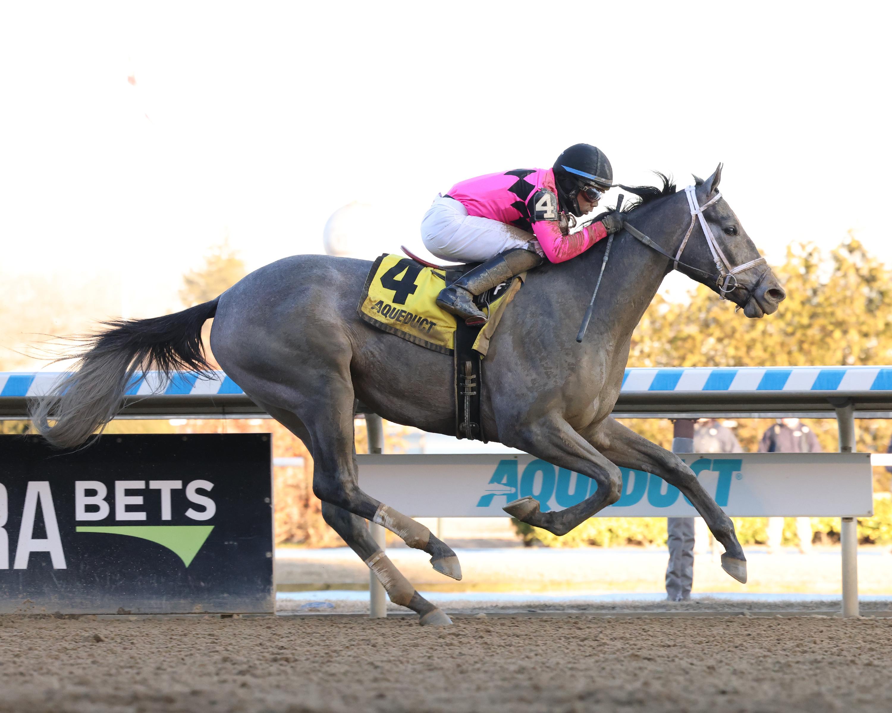 Wood Memorial Stakes Cheat Sheet America's Best Racing