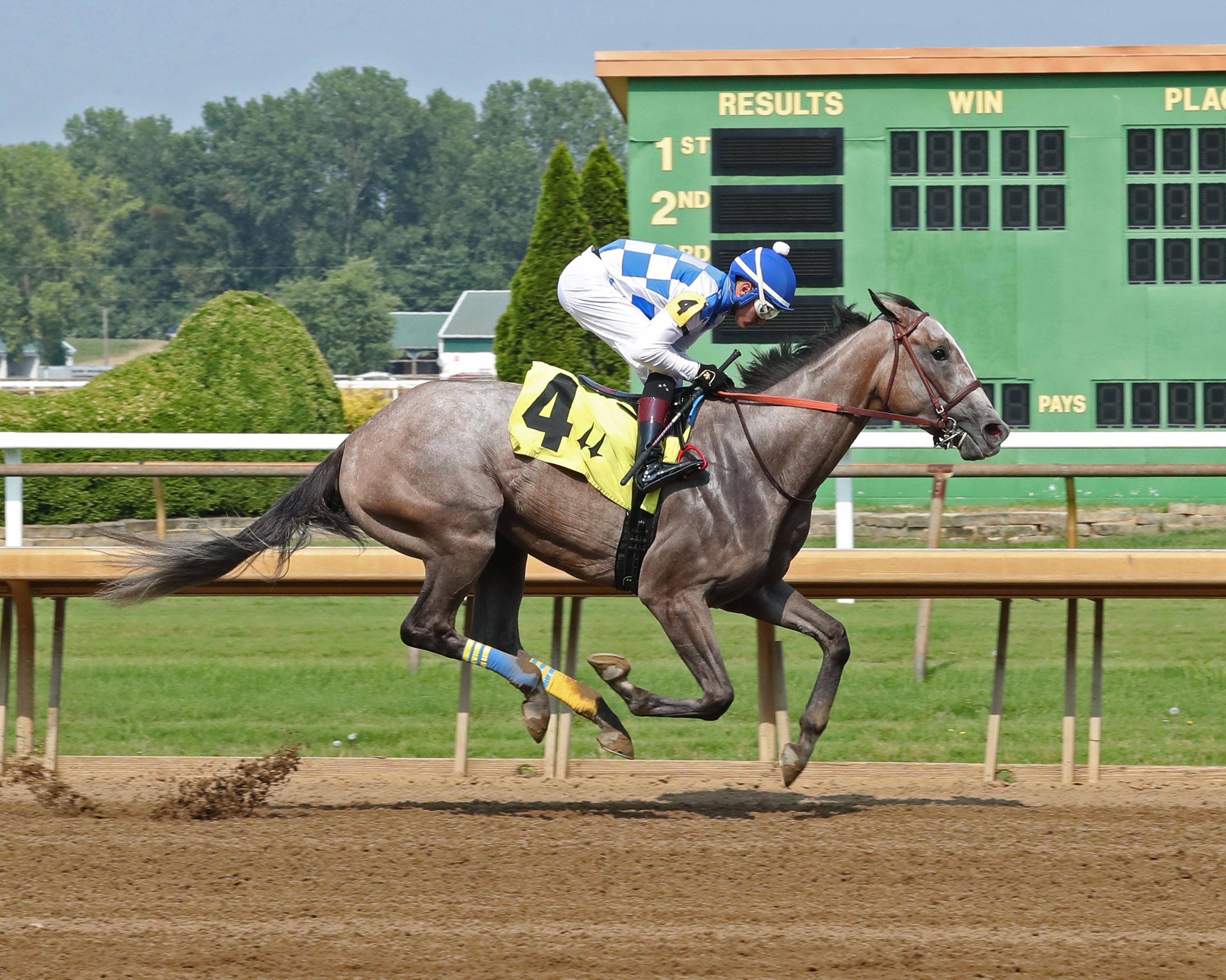 2023 Breeders' Cup Distaff Cheat Sheet Get to Know the Horses