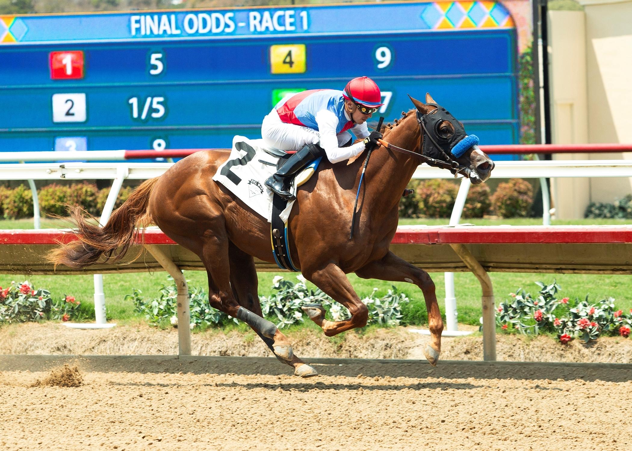 Buetane, Virginia Derby, Kentucky Derby, ABR, America's Best Racing, Triple Crown, horse racing