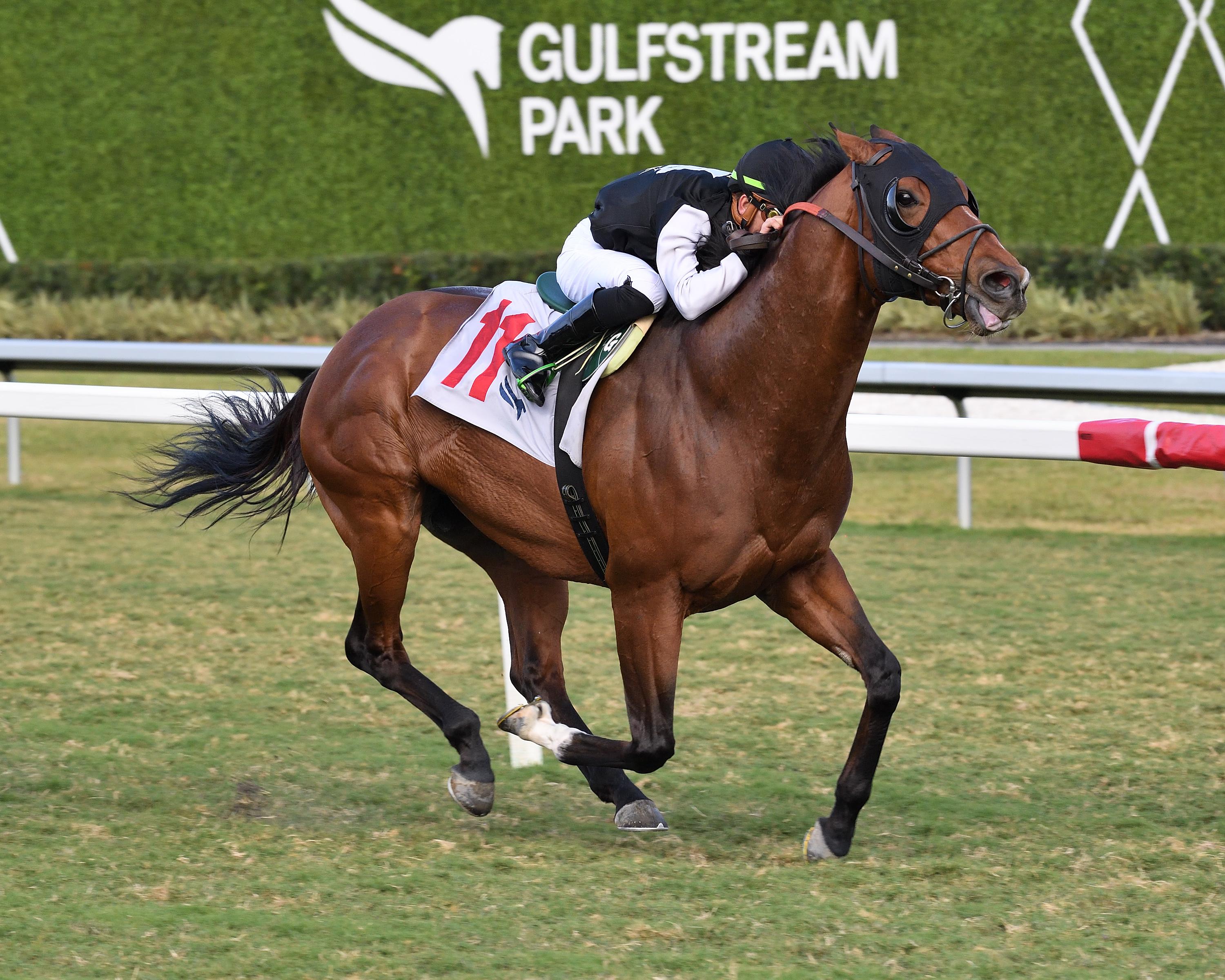 Andrew Janus Racing Andrew Champagne’s Live Longshots for Pacific Classic Day at Del Mar ...
