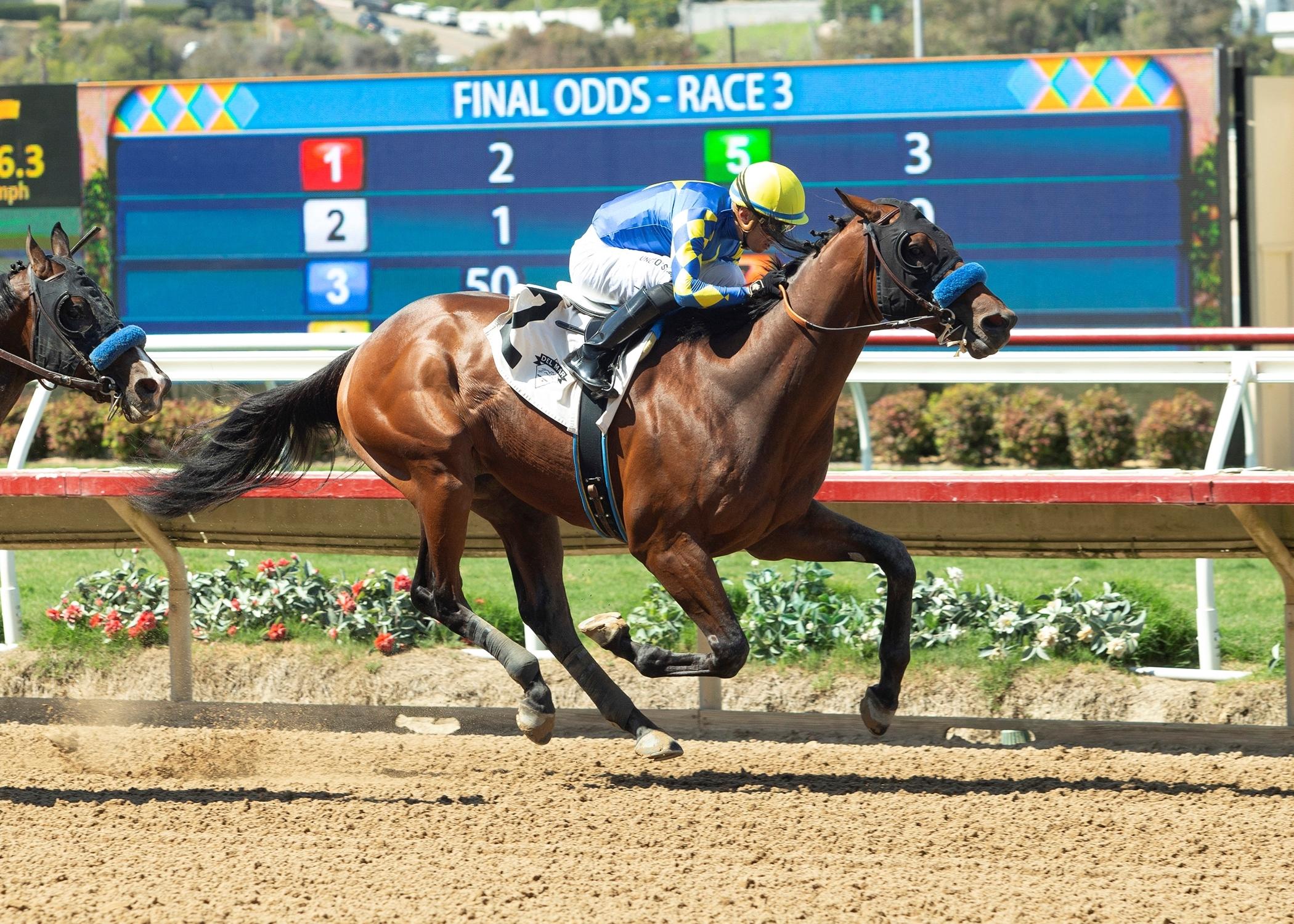 Arkansas Derby, Litmus Test, Bob Baffert, Rebel Stakes, Oaklawn Park, ABR, America's Best Racing, Triple Crown, Kentucky Derby, horse racing