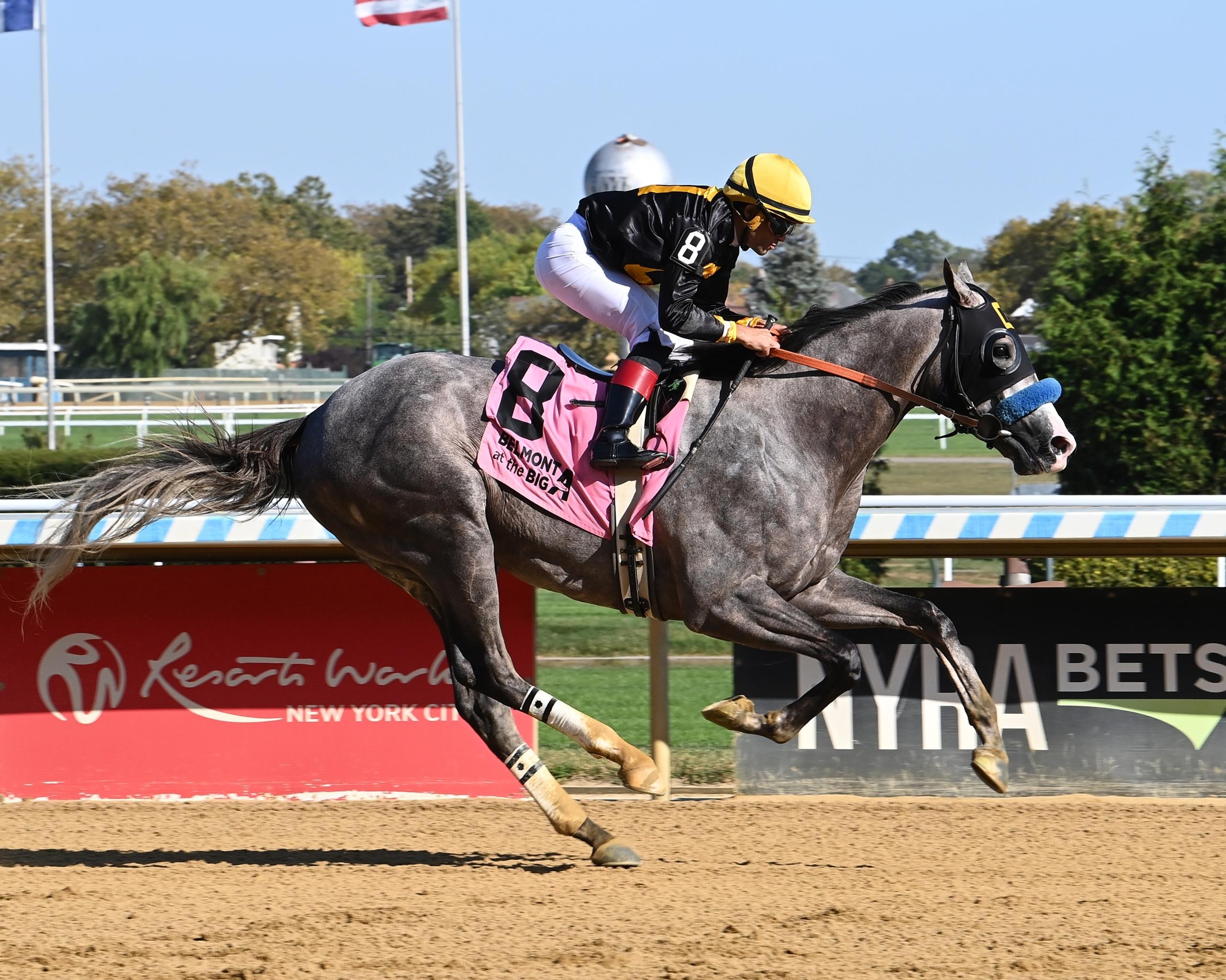 Napoleon Solo, Champagne Stakes, Aqueduct, America's Best Racing, horse racing, ABR
