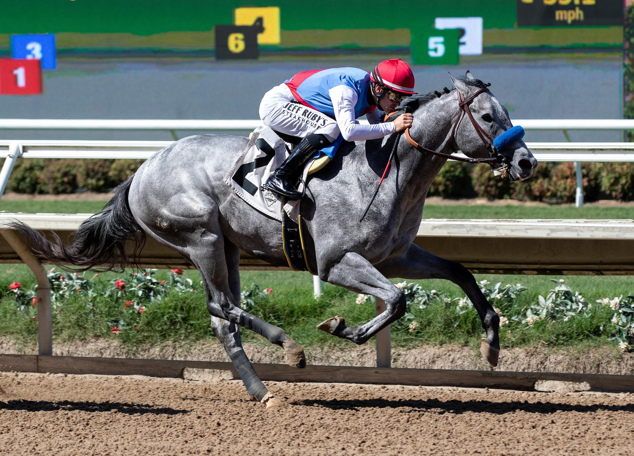 Brant, Del Mar Futurity, Breeders’ Cup Juvenile, Del Mar, America's Best Racing, horse racing, ABR Brant, Del Mar Futurity, Breeders’ Cup Juvenile, Del Mar, America's Best Racing, horse racing, ABR
