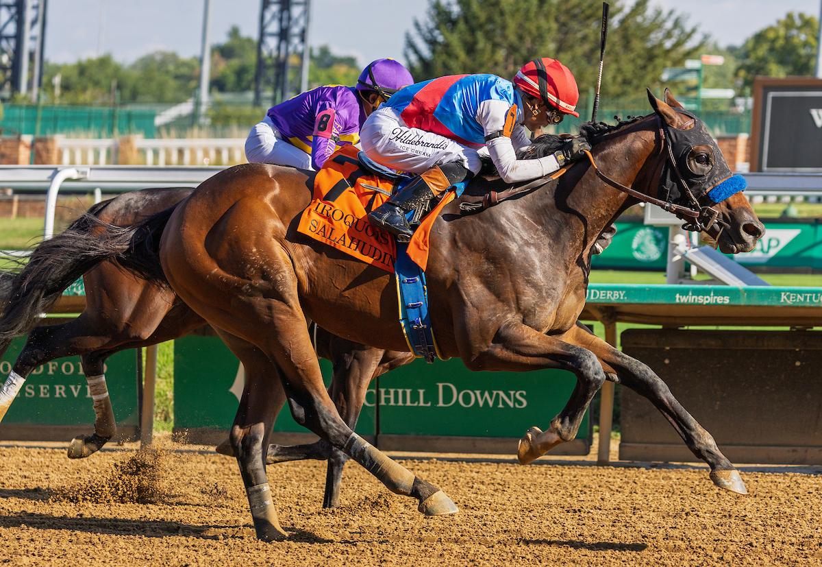 Salahudin, Rookie Rankings, 2027 Kentucky Derby, Triple Crown, horse racing, America's Best Racing, ABR Salahudin, Rookie Rankings, 2027 Kentucky Derby, Triple Crown, horse racing, America's Best Racing, ABR