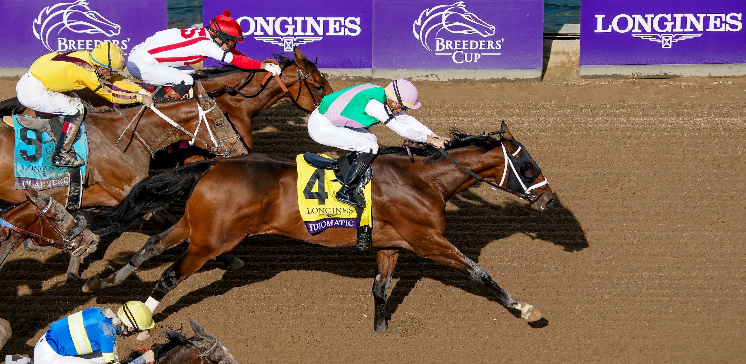 Idiomatic, Breeders' Cup Distaff, Keeneland, Breeders' Cup, horse racing, America's Best Racing, ABR Idiomatic, Breeders' Cup Distaff, Keeneland, Breeders' Cup, horse racing, America's Best Racing, ABR