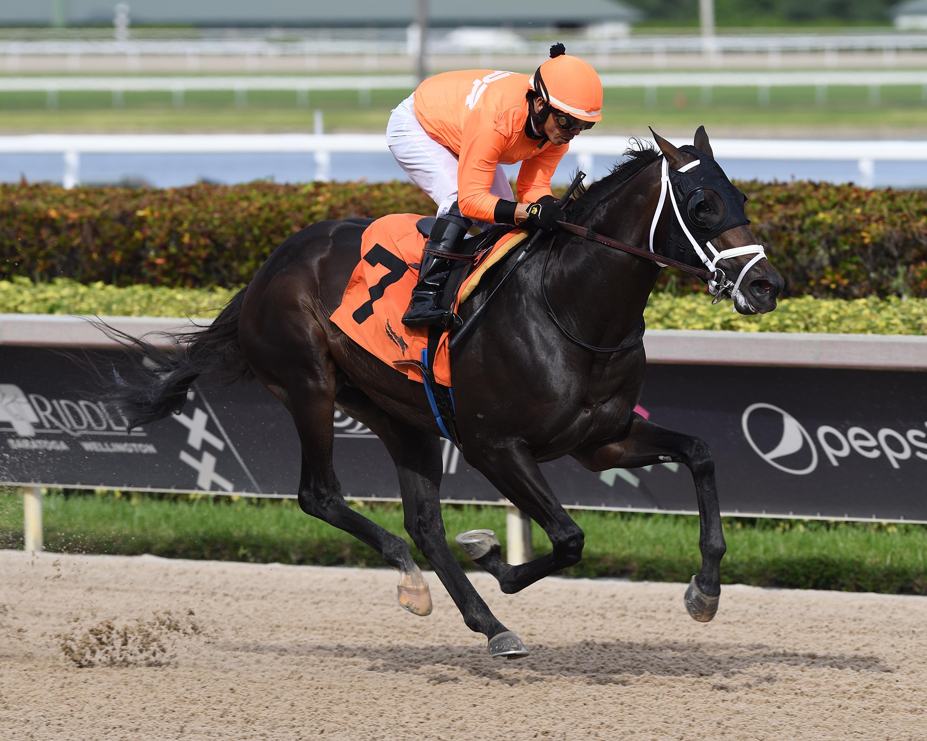 No More Time, Sam F. Davis, Tampa Bay Derby, Coglianese