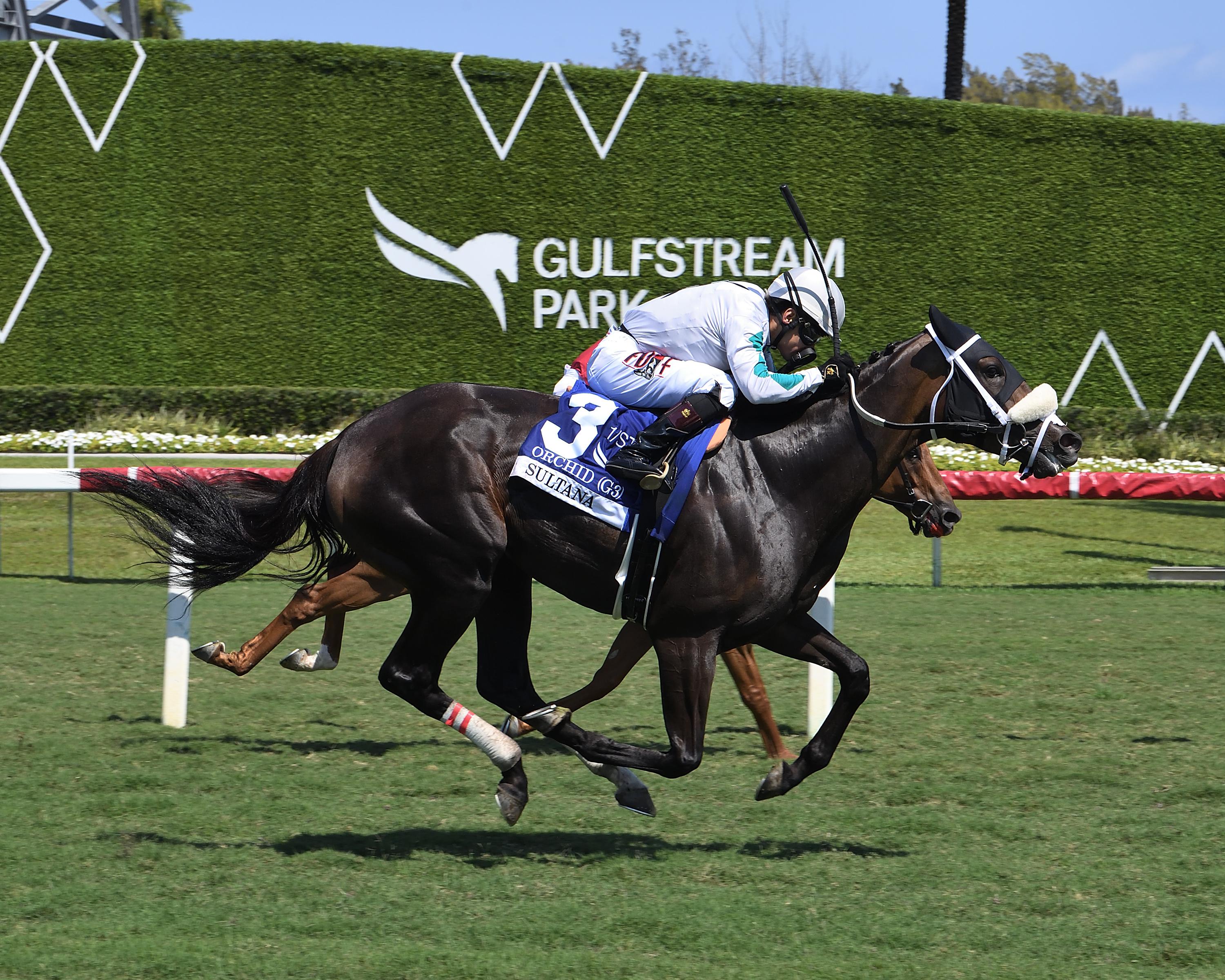 Sultana, Keertana Stakes, Churchill Downs, horse racing, America's Best Racing, ABR Sultana, Keertana Stakes, Churchill Downs, horse racing, America's Best Racing, ABR