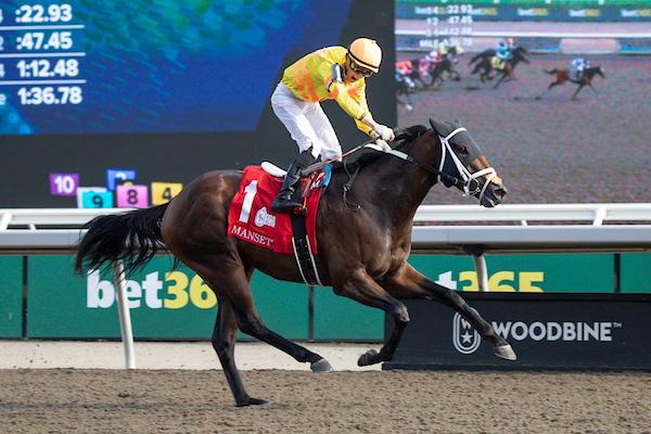 Mansetti, Al Ulwelling, Bill Ulwelling, King's Plate, Woodbine, Fort Erie, Prince of Wales, Kevin Attard, America's Best Racing, horse racing, ABR