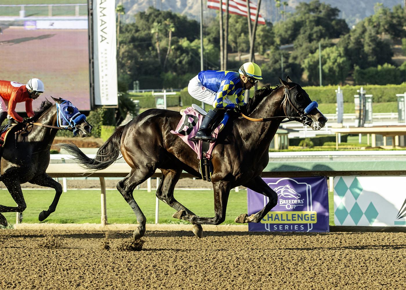 Forever Young and All the Key Horses to Know for the 2026 Saudi