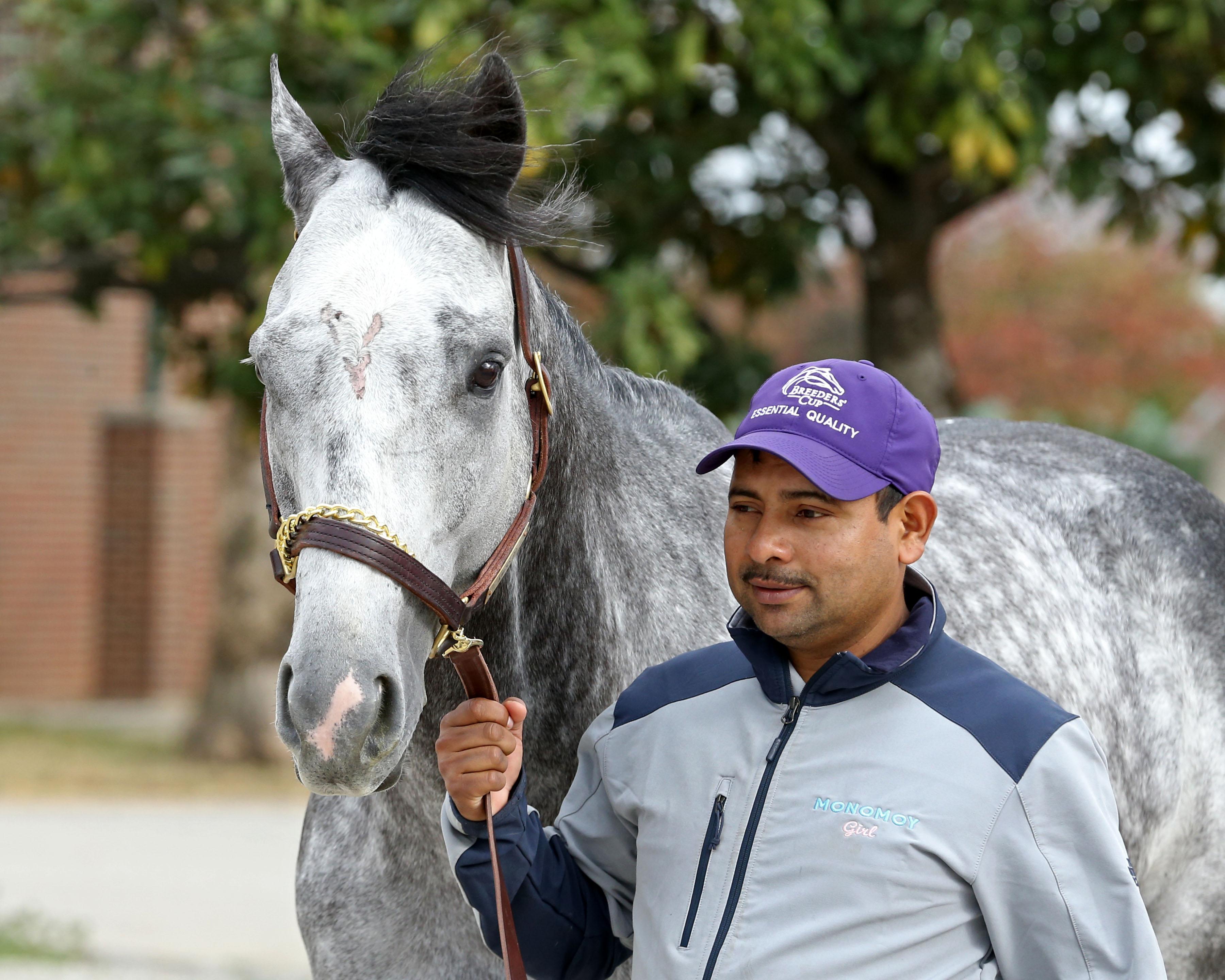 2021 Horse Racing Year in Review 