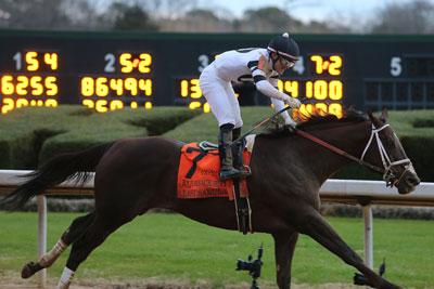 Last Samurai Razorback Handicap Eclipse Sportswire Stephen Foster