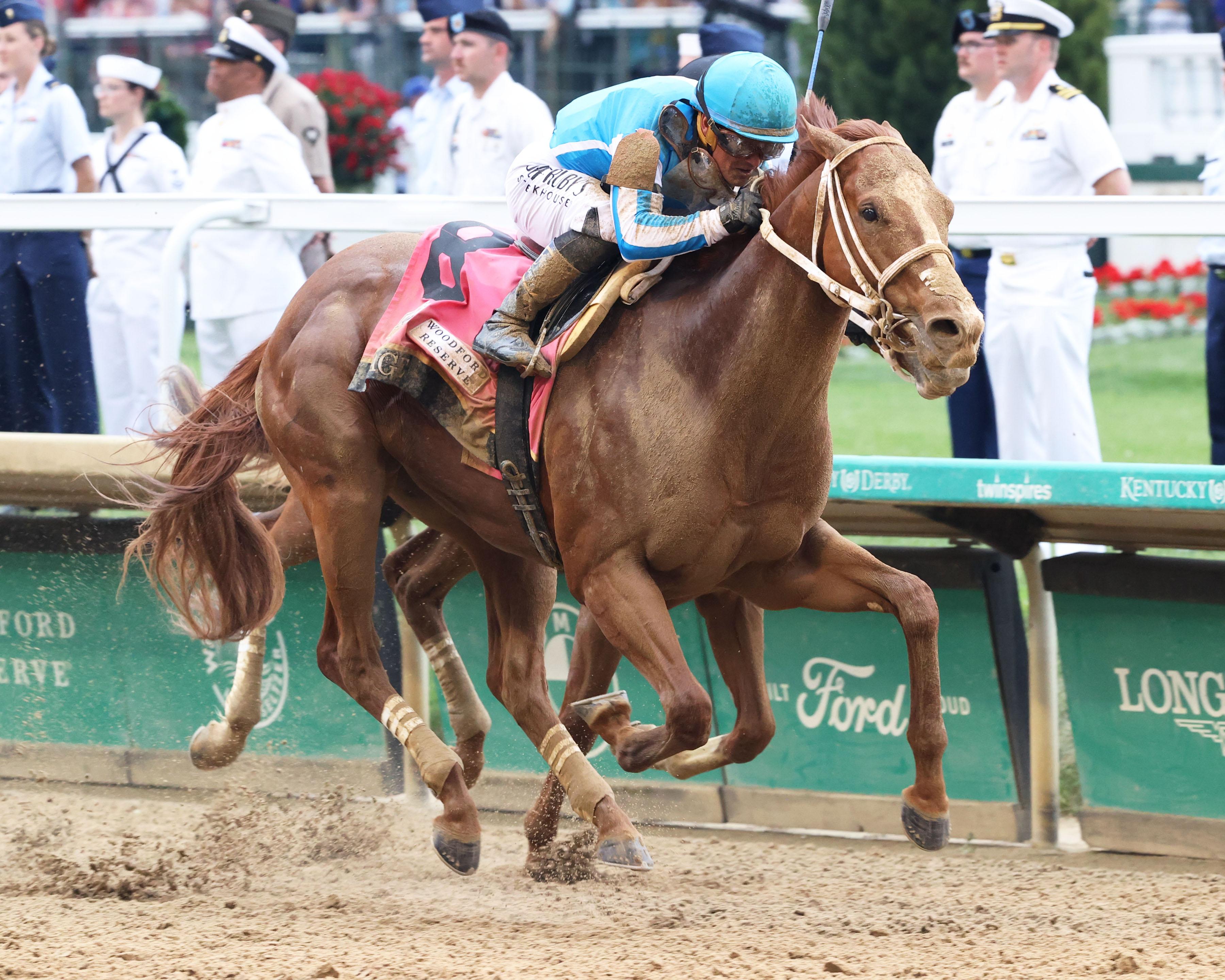 2023 Haskell Stakes Cheat Sheet America's Best Racing