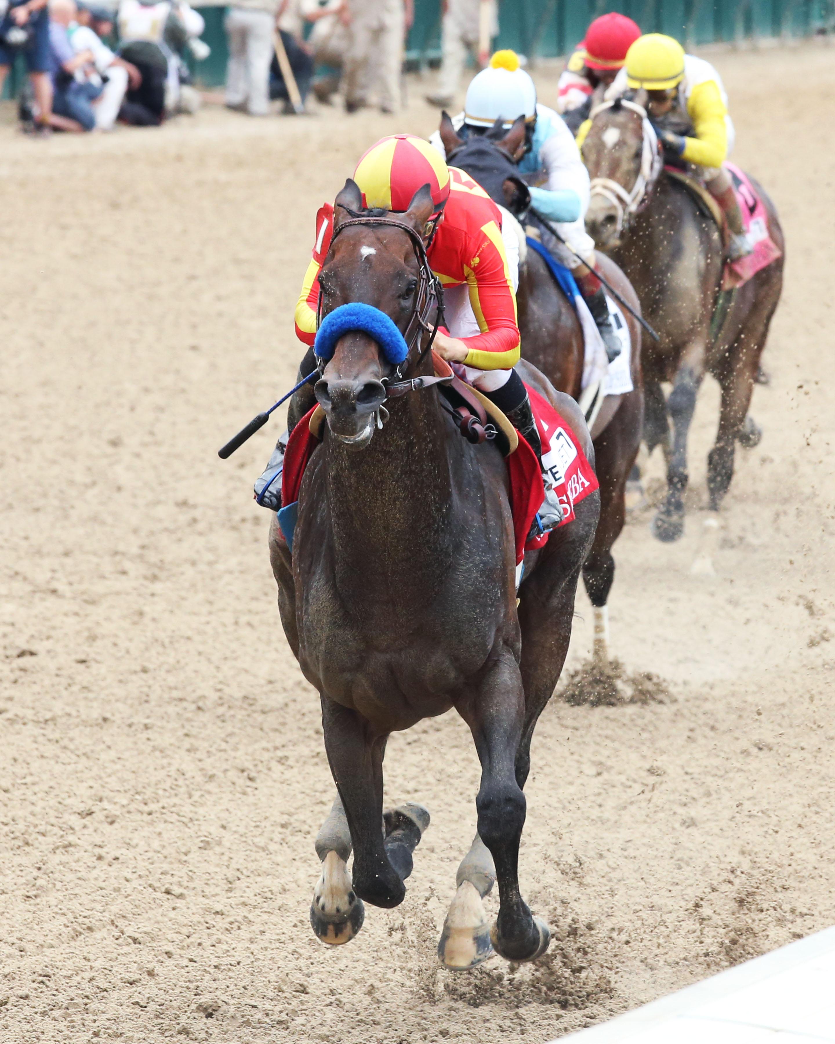 Breeders Cup 2019 Classic Contenders Breeders Cup 2019 Classic Contenders