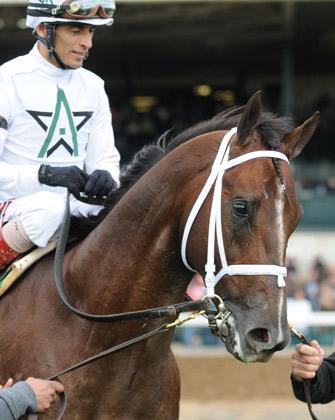 stamina horse giant for much how Racing Best America's Carpe  the Diem Grade: Making
