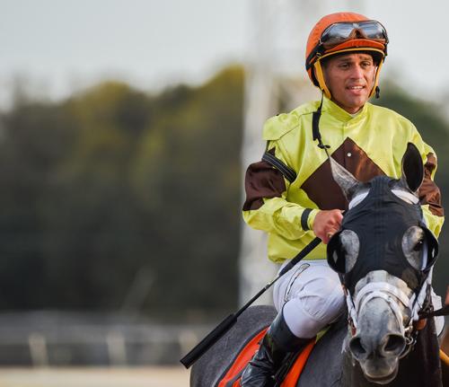 Destin Fl Racing DestinInside.jpg | America's Best Racing