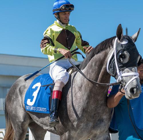 Destin Fl Racing Destin.jpg | America's Best Racing