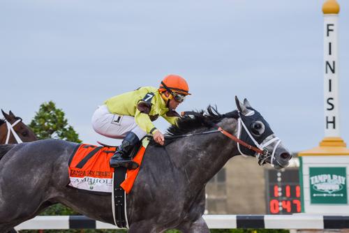 Destin Fl Racing Destin.jpg | America's Best Racing