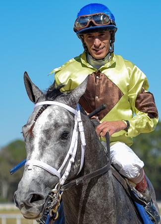 Destin Fl Racing Destin.jpg | America's Best Racing