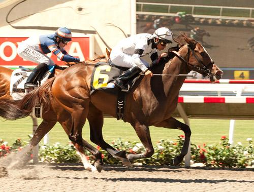 Racehorse Names Perfect For The Year Of The Monkey America S Best Racing